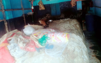 চামড়ার বাজার: কুমিল্লায় হাহাকার