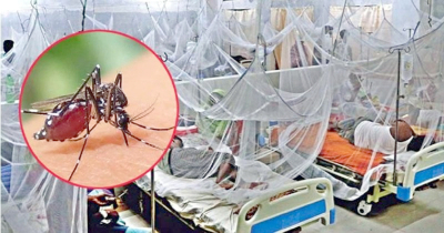 ডেঙ্গুতে একদিনে আরও ৬ মৃত্যু, হাসপাতালে ভর্তি ১৪৯২